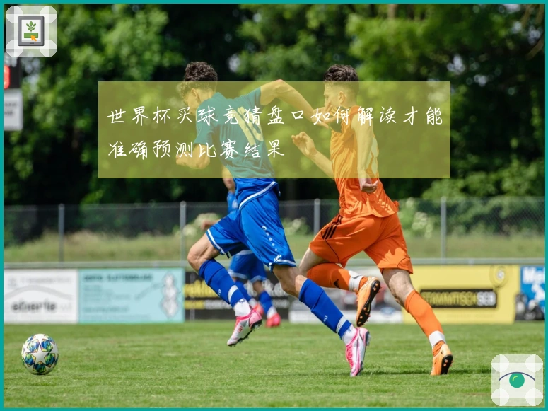 世界杯买球竞猜盘口如何解读才能准确预测比赛结果
