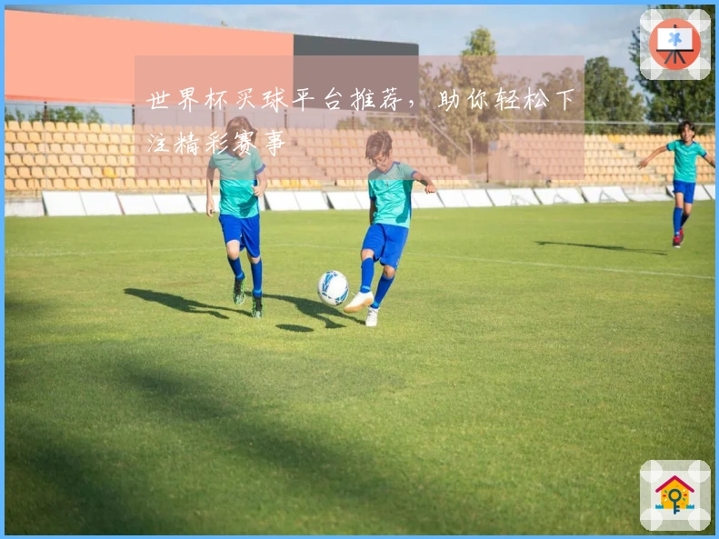 世界杯买球平台推荐，助你轻松下注精彩赛事